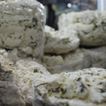 Suh bitkisinin faydaları nelerdir? Şeker hastalarına şifa olan bitki