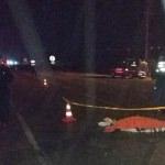 Sakarya'da kamyonun çarptığı kadın öldü