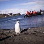 Rus bilim adamı: Türk Antartika 2023'ten önce gerçekleşebilir!