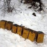 Bitlis'te 200 kilogram patlayıcı imha edildi