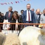Gaziantep Büyükşehir'den üreticiye dev destek