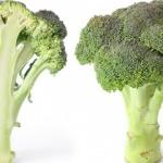 Brokolinin faydaları: Kilo vermek isteyenler için besin değeri