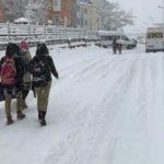 Bitlis ve Van'da kar nedeniyle okullar tatil