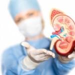 B&ouml;brek Kistleri kendiliğinden kaybolur mu: B&ouml;brek kisti belirtileri & ameliyatı!