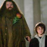 Harry Potter'in yakın arkadaşı Robbie Coltrane'den k&ouml;t&uuml; haber!