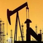 Brent petrol&uuml;n varili 66,86 dolar