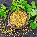 Anne sütünü arttıran bitki hangisi?