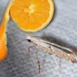 G&uuml;velerden kurtulmak i&ccedil;in yapılması gerekenler