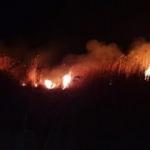 İznik Gölü'nde sazlık alanda yangın