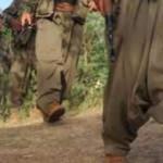 Şırnak'ta PKK'lı teröristler teslim oldu