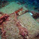 Dünyanın en eski gemi batığı Antalya'da bulundu