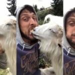 Rizeli gencin keçi ile ekmek kavgası sosyal medyayı salladı