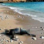 Fethiye sahilinde kan donduran g&ouml;r&uuml;nt&uuml;