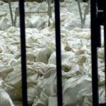 Maltepe'deki oy sayımında yeni gelişme: Sayı 6'ya çıktı