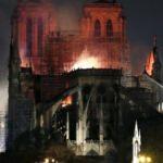 Notre Dame mucizesi: 200 bin arı yangından sağ çıktı!