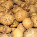 A&ccedil;ıklama geldi! Kilo fiyatı 1,5 TL'ye d&uuml;şecek