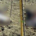 Bah&ccedil;eye gittiklerinde şoka girdiler! Başının &ouml;n ve arka kısmı...