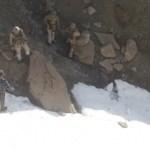 Van&rsquo;da 2 ter&ouml;rist yakalandı