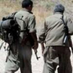 Şırnak'ta 2 PKK'lı terörist teslim oldu