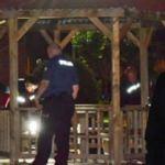 Dilaver'i parkta öldürdüler