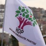 HDP'li Başkan hakkında hapis istemi