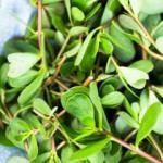 Semizotu nasıl yıkanır?Semizotu temizlemenin p&uuml;f noktaları