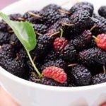 Doğal dut nasıl anlaşılır? İyi bir dut seçimi nasıl yapılır?