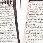 Gizli tutanaklar ortaya çıktı: Amaç hükümeti devirmek!