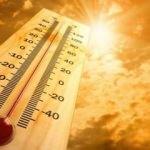 Ülke şokta! Sıcak hava nedeniyle 40 kişi öldü