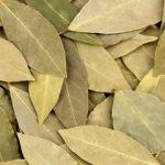 Defne yaprağının faydaları nelerdir? Defne yaprağı çayı ne işe yarar? Defne ve limon karışımı