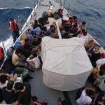 Muğla'da, 114 kaçak göçmen yakalandı