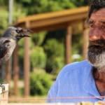 74 yaşındaki çaycı Mehmet Çevik karga ile çay servisi yapıyor!