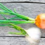 Filizlenmiş soğan sarımsak yenir mi? Filizlenmemesi için ne yapılmalı?