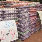 Fiyatı 40 kuruşa düştü! Kapış kapış satılıyor