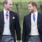 İngiltere basınından büyük iddia! Prens Harry ve William küs mü?