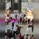 Kahramanlar halay &ccedil;ekerse!