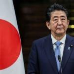 Japonya'da Senato seçimlerini Abe kazandı