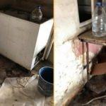 Mide bulandıran görüntü! Burada yapıp insanlara yedirmişler