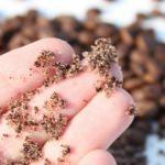 Scrub nedir? Scrub &ccedil;eşitleri nelerdir? Scrub nasıl yapılır?