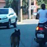 Köpeğini motosiklete bağlayan kadın kendini böyle savundu!