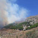 Marmara Adası'ndaki yangınla ilgili 2 kişi adliyeye sevk edildi