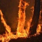 Eskişehir'de yangın! Kontrol altına alındı