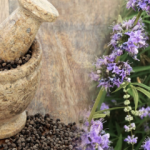 Hayıt tohumunun faydaları nelerdir? Hayıt tohumu ve bal karışımı ne işe yarar?