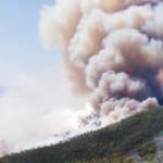 Orman yangınlarını ter&ouml;r &ouml;rg&uuml;t&uuml; PKK &uuml;stlendi