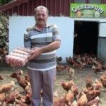 Polislikten emekli olunca organik tavuk çiftliği kurdu