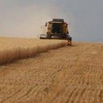 Tarım- ÜFE Temmuz ayında yüzde 1,06 azaldı
