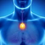 Timüs bezi nedir? Timüs ne işe yarar? 