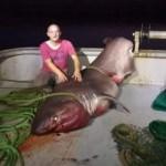 Balıkçılar yakaladı: Uzunluğu 5 metre ağırlığı 1 ton