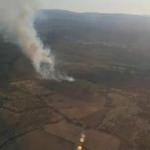 Bergama’daki orman yangını kontrol altına alındı