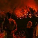 İzmir'deki orman yangınında son durum